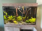 Aquarium 160L Aqualantis, Dieren en Toebehoren, Vissen | Aquaria en Toebehoren, Ophalen, Zo goed als nieuw