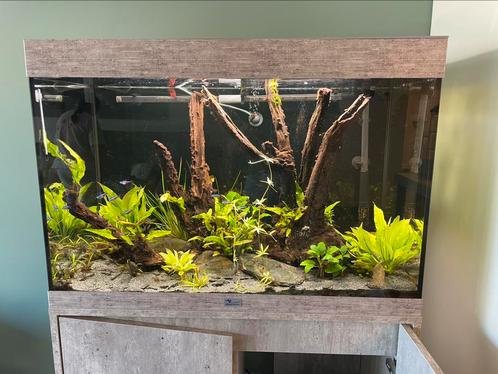 Aquarium 160L Aqualantis, Dieren en Toebehoren, Vissen | Aquaria en Toebehoren, Zo goed als nieuw, Ophalen