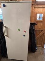 Diepvries Aeg oko-arctis 315 gs, Gebruikt, 160 cm of meer, Ophalen, Vrieskast