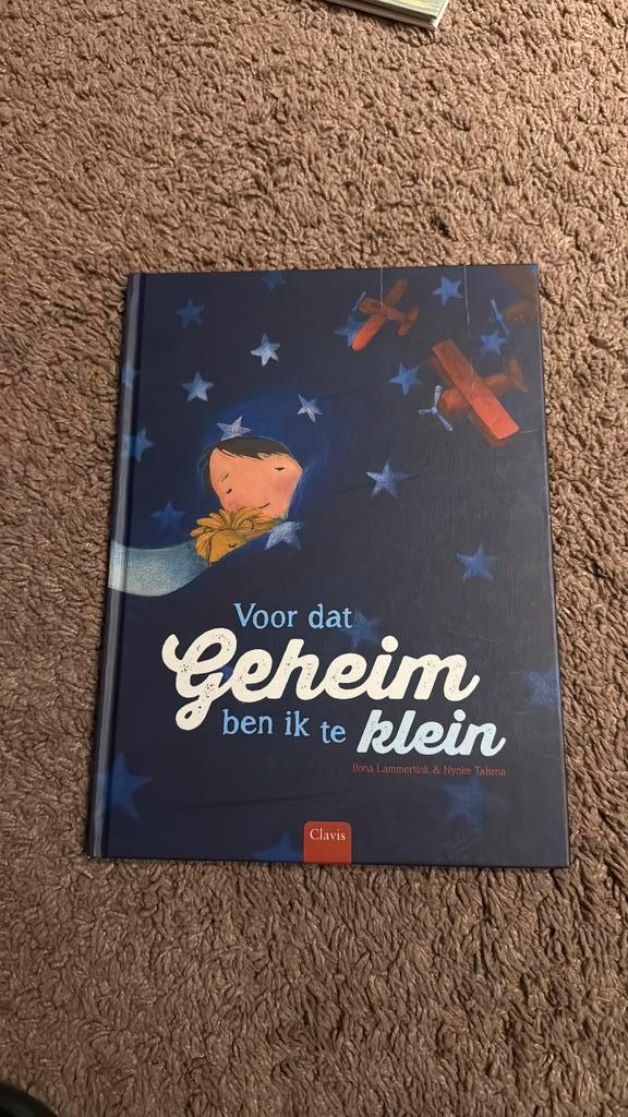 Clavis: Ilona Lammertink - Voor dat geheim ben ik te klein, Boeken, Prentenboeken en Plaatjesalbums, Zo goed als nieuw, Ophalen
