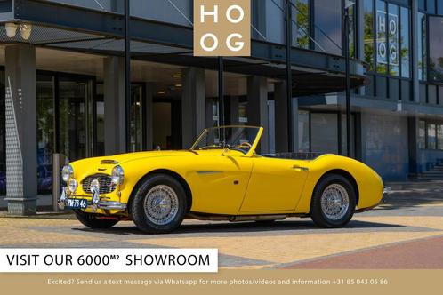 Austin Healey 100 6 100/6 (bj 1957), Auto's, Oldtimers, Bedrijf, Te koop, Open dak, Overige merken, Benzine, Cabriolet, 2 deurs