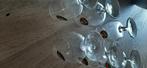 6 nieuwe Palm glazen, Ophalen, Nieuw, Glas of Glazen, Palm