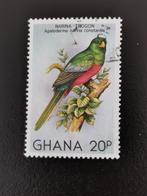 Ghana 1981 - oiseaux, Timbres & Monnaies, Timbres | Timbres thématiques, Animal et Nature, Affranchi, Enlèvement ou Envoi