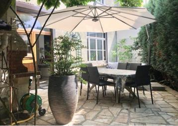 Grand parasol déporté Glatz beschikbaar voor biedingen