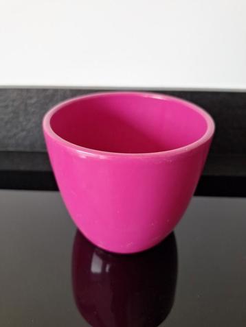 Bloempot fuchsia beschikbaar voor biedingen