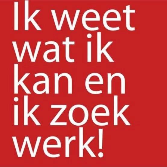 Werk gezocht als chauffeur B in loondienst, Vacatures, Vacatures | Chauffeurs