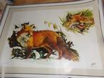 Ancienne affiche (poster) LEGIA (cartouches de la FN Herstal, Verzamelen, Ophalen
