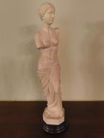 Beeld Venus Di Milo, Ophalen