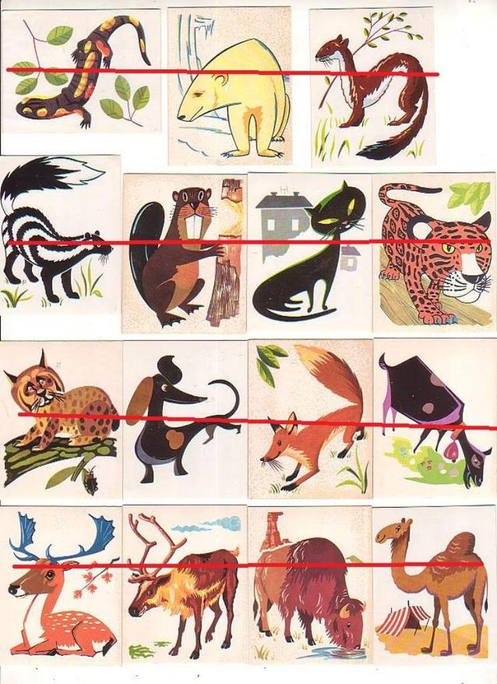 Panini/Tickets 70/Animaux/44 pièces + 7 chambres doubles, Collections, Collections Animaux, Comme neuf, Autres types, Autres, Envoi