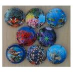 Champagne capsules - Generieken - Les Récifs (G 1020), Collections, Collections complètes & Collections, Enlèvement ou Envoi