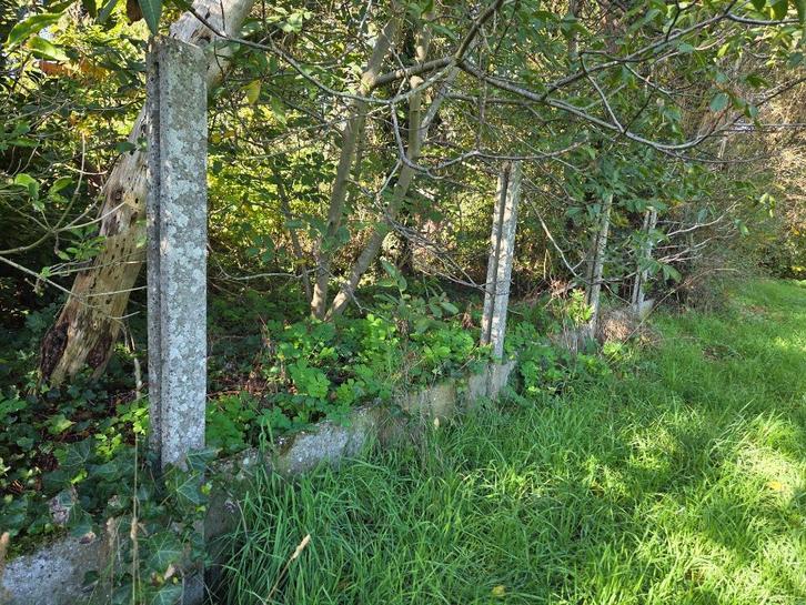 Betonpalen en platen, Tuin en Terras, Palen, Balken en Planken, Gebruikt, Palen, 180 tot 250 cm, Ophalen