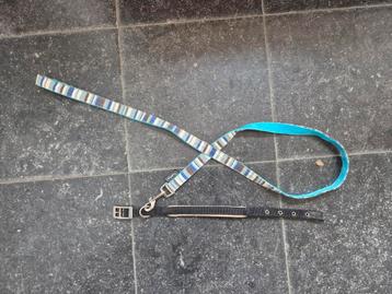 Riem en halsband beschikbaar voor biedingen
