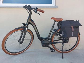 Elektrische damesfiets Riese&muller Swing Vario Hs  beschikbaar voor biedingen
