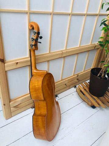 Viola da Gamba plus accessoires plus studieboeken beschikbaar voor biedingen