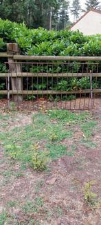 Hooiruif, Dieren en Toebehoren, Ophalen, Gebruikt