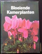 Bloeiende Kamerplanten, Enlèvement, Utilisé, Plantes d'intérieur