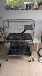Grote kooi chinchilla, rat, fret, Dieren en Toebehoren, Ophalen, Zo goed als nieuw, Kooi, Rat
