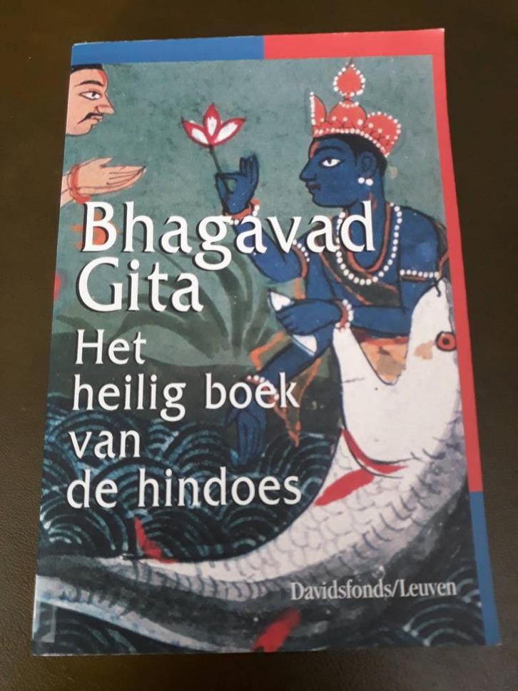 Bhagavad Gita. Het heilig boek van de hindoes, Boeken, Godsdienst en Theologie, Zo goed als nieuw, Hindoe, Ophalen