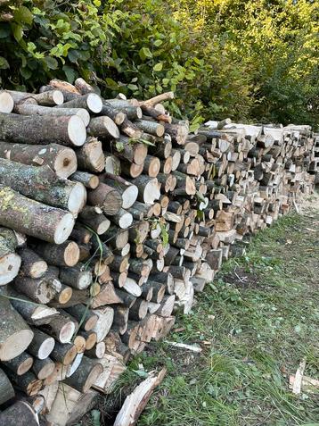 5 stères de bois de chauffage disponible aux enchères