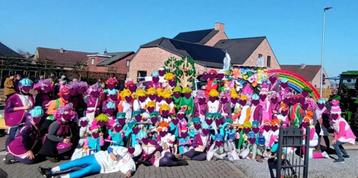 Carnavalskledij Trolls beschikbaar voor biedingen