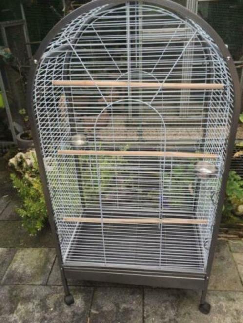 Prachtige grote nieuwe papegaaienkooi met open bovenkant, Dieren en Toebehoren, Vogels | Hokken en Kooien, Zo goed als nieuw, Vogelkooi