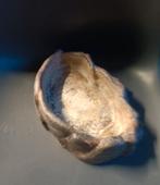 Une boisson pour un serpent, Enlèvement