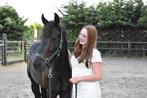Pony te koop GERESERVEERD, Dieren en Toebehoren, Pony's, Ruin, M