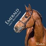 ICSI rietjes te koop, Dieren en Toebehoren, Paarden