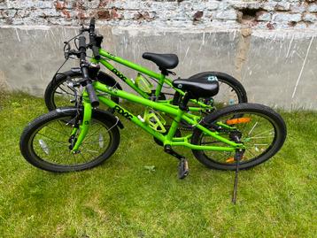 Twee fietsjes Frog 20” beschikbaar voor biedingen