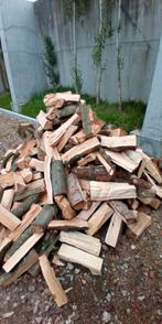 Brandhout beuk/eik halfdroog, Tuin en Terras, Ophalen of Verzenden, Beukenhout, Blokken