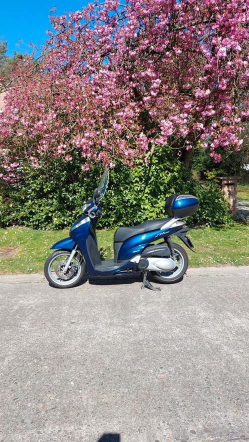 Honda sh 300i, Motoren, Motoren | Honda, Particulier, Scooter, 12 t/m 35 kW, 1 cilinder, Ophalen