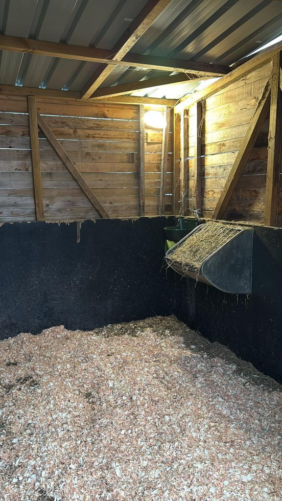 Stalling te huur voor overwintering, Dieren en Toebehoren, Stalling en Weidegang, Stalling