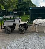 Shetlander/ pony koets, Dieren en Toebehoren, Zo goed als nieuw, Pony