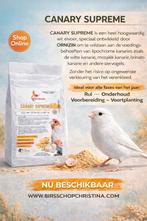 Canary Supreme 4kg Ornizìn, Enlèvement