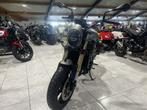 Benelli Leoncino 800, Motoren, Motoren | Benelli, Bedrijf, Meer dan 35 kW, 800 cc, Naked bike