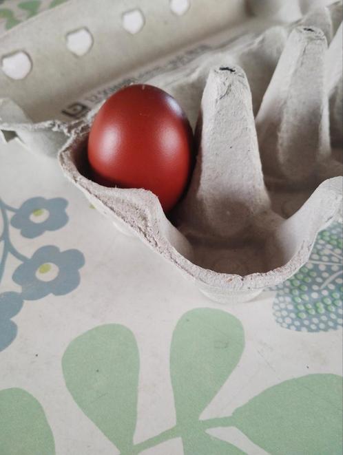 Broedeieren marans raszuiver kleur blauw en zwart koper, Dieren en Toebehoren, Pluimvee, Kip, Geslacht onbekend