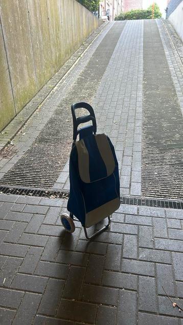 Shopper trolley beschikbaar voor biedingen