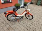 Honda camino, Particulier