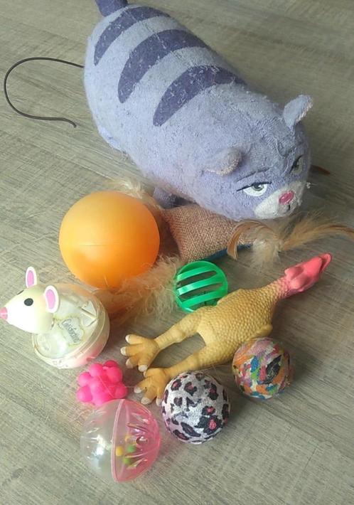 speelgoed voor kat, Dieren en Toebehoren, Kattenspeelgoed, Ophalen of Verzenden