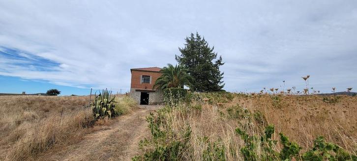 Spanje/EXtremadura/1000 wijnstokken /Trujillo 159->149.000€, Immo, Buitenland, Spanje, Overige soorten, Landelijk