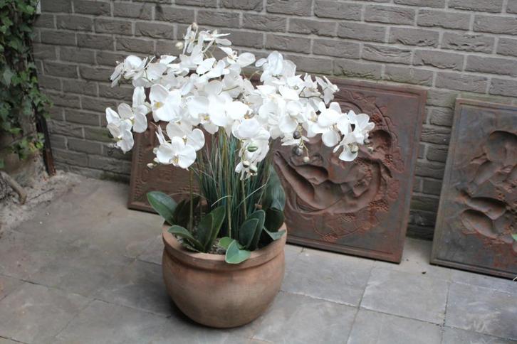 Terracotta met orchidee, Tuin en Terras, Bloempotten, Zo goed als nieuw, Terracotta, Binnen, Balkon, Tuin, 70 cm of meer, 40 cm of meer