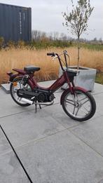 Honda Camino Klasse B, Particulier