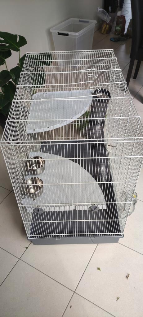 cage a rongeurs, Animaux & Accessoires, Rongeurs & Lapins | Cages & Clapiers, Comme neuf, Cage, 60 à 90 cm, 75 à 110 cm, Cobaye