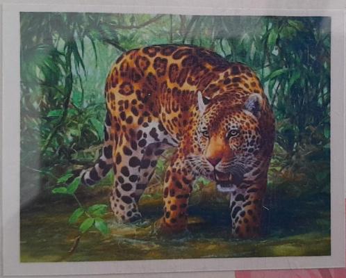 Diamond Painting - Ronde Steentjes - Tijger - 40 x 30 Cm, Hobby en Vrije tijd, Knutselen, Nieuw, Knutselwerk, Ophalen of Verzenden
