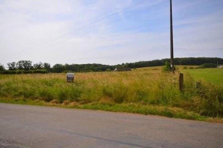Terrain de 59 ares à bâtir, Immo, Gronden en Bouwgronden, 1500 m² of meer