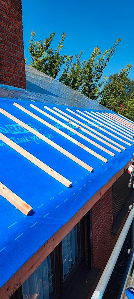 Toiture, Diensten en Vakmensen, Dakdekkers en Rietdekkers