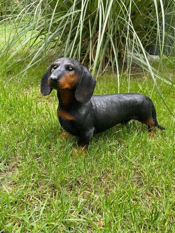 (Tuin)Beeld teckel,  tekkel, hond, tuin, gazon 40 cm beschikbaar voor biedingen