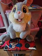 Pan pan vient de disney land, Enlèvement