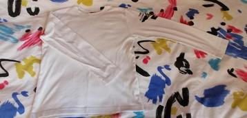T-shirt M/L ESPRIT blanc 12 ans cm 152 beschikbaar voor biedingen