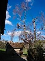 Taille haie Elagage et abattage tout types d'arbres, Ophalen of Verzenden, Zo goed als nieuw
